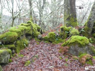 Ribeira Sacra-Cañón y Riberas del Sil; cañon del rio mesa los almorchones queralbs a nuria parque na